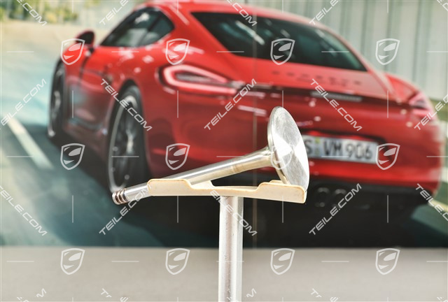 Exhaust valve