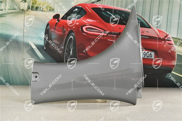 Carrera GT - side panel / fender, R