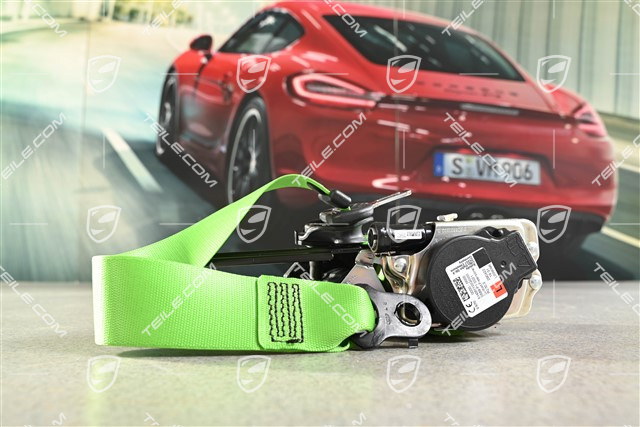 Coupe / Targa, Sicherheitsgurt, Lizardgrün, L