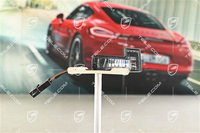 Lampka lusterka zewnętrznego, L
