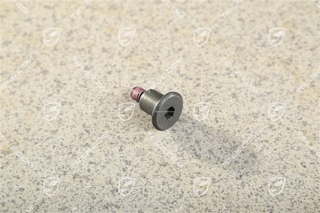Bearing screw M6 x19 Bearing screw M6 x19
