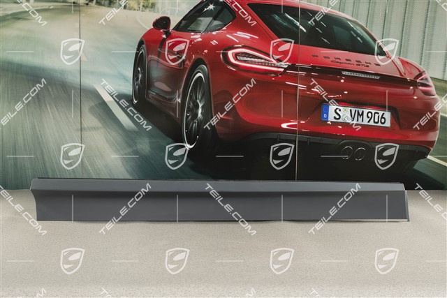 Aerokit / Sport Design, Vordertür, leiste, L