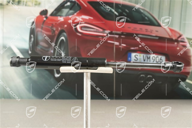 GT3RS, Front bonnet strut, L=R