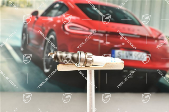 Spark Plug