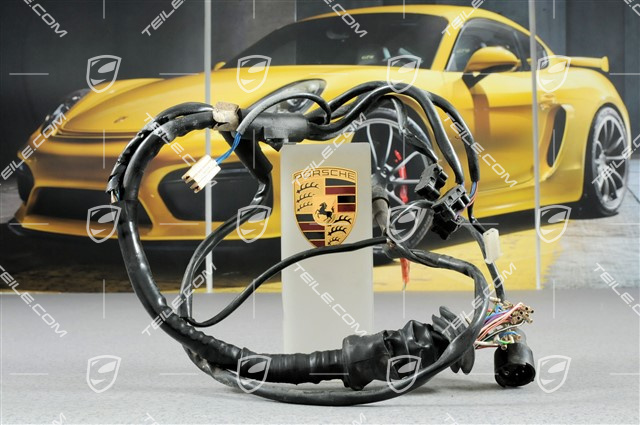 Wiring Harness, Doors, damaged, L Wiring Harness, Doors, damaged, L