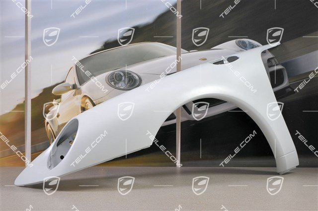 Fender / Wing, L