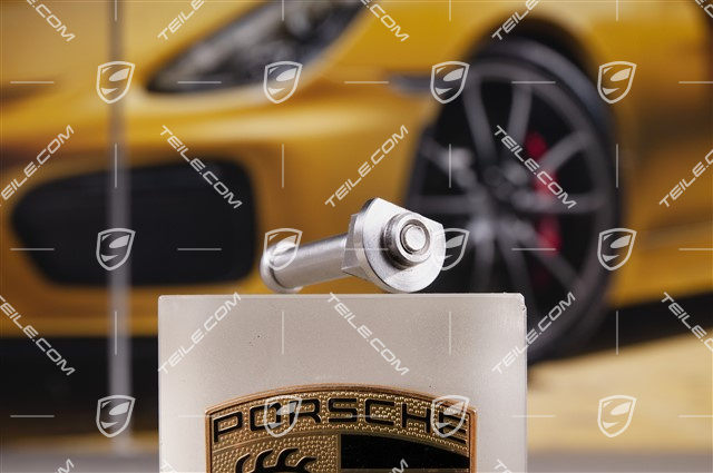 Floater Fixing Elements for PCCB disc