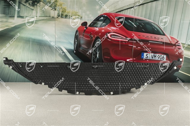 Spyder, Front bumper, Underbody trim