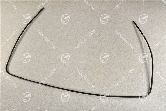 Windsceen trim frame