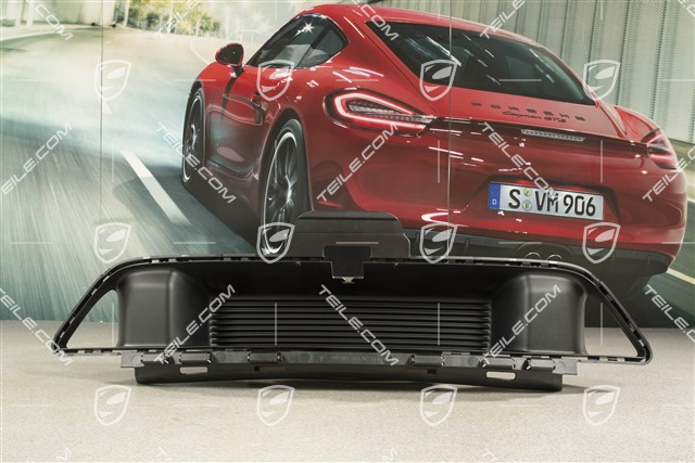 Sport Design, Front bumper Grille / Insert Cover, Black matte