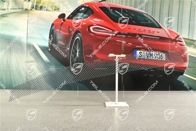 GT2RS grille / air guide
