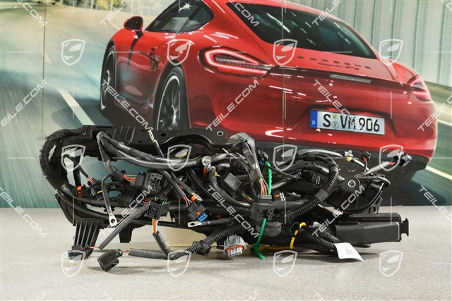 Engine wiring harness, Turbo with PASM