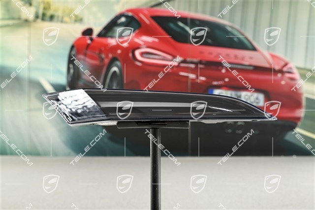 Turn signal / Direction indicator light, R
