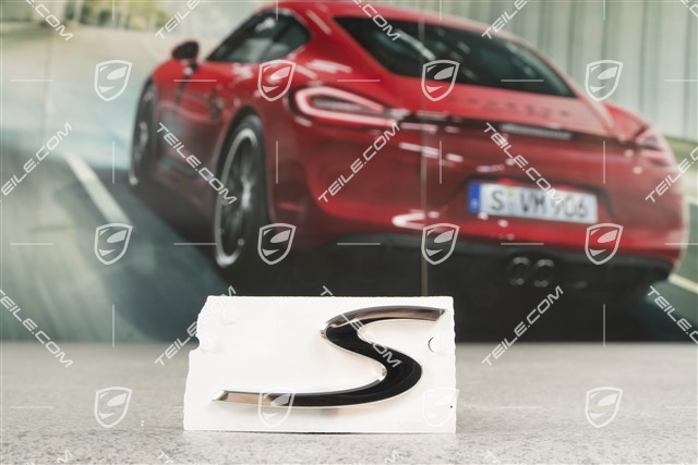"S" logo, Galvano silver