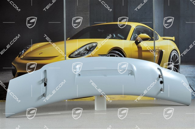 GT3 rear spoiler / wing, upper part