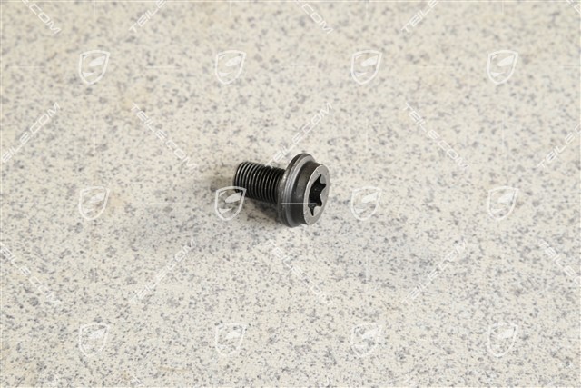 PAN-HEAD SCREW M10 x 1 x 17 PAN-HEAD SCREW M10 x 1 x 17
