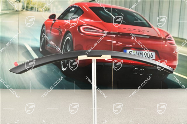 Gummilippe GT3, Hinten, R