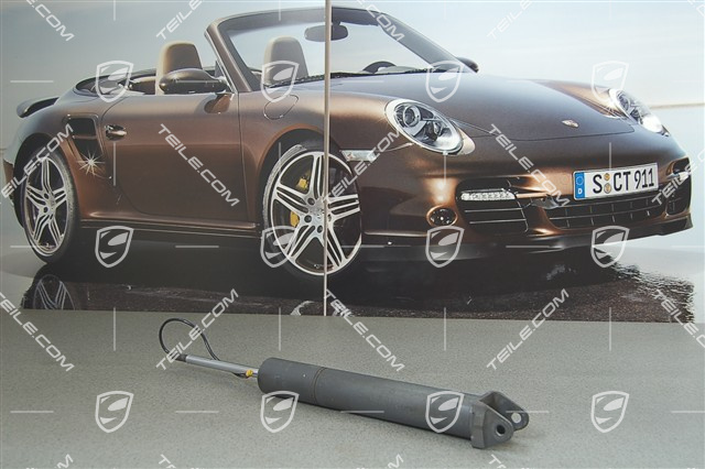 Stoßdämpfer, C2/C2S/C4/C4S, Coupe, Cabrio, Sportfahrwerk, PASM (elektr. Regelung), L=R Stoßdämpfer, C2/C2S/C4/C4S, Coupe, Cabrio, Sportfahrwerk, PASM (elektr. Regelung), L=R