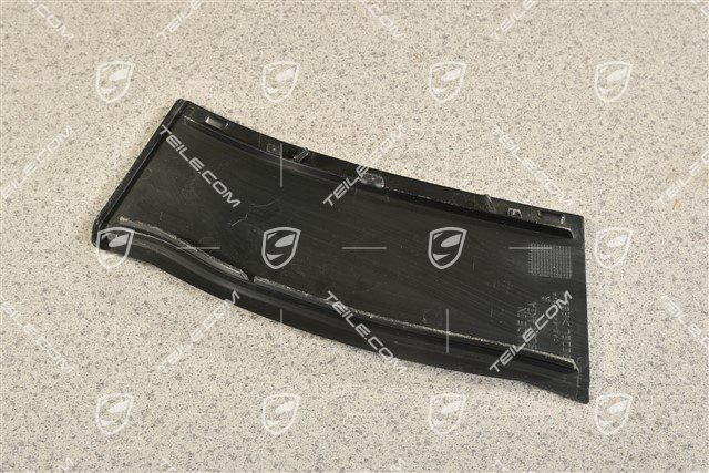 Rear light cover, outer, R