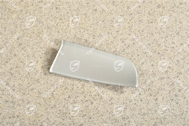 Zierleiste für Kotfügel, Alu, L