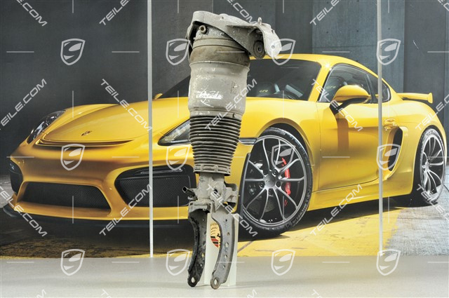 Federbein komplett, V8 4,8L 280KW / V8 Biturbo 4.8L 368KW, R Federbein komplett, V8 4,8L 280KW / V8 Biturbo 4.8L 368KW, R