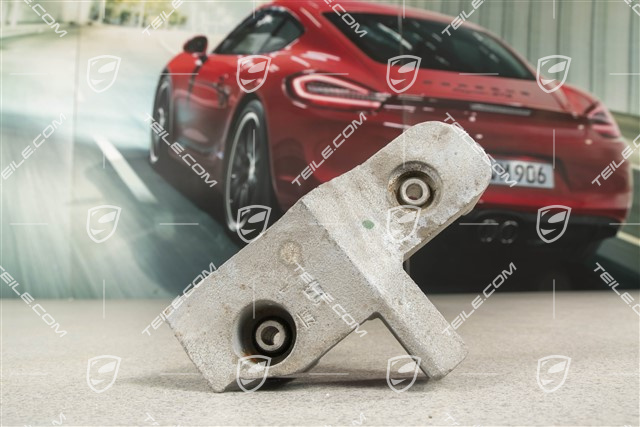 S 3,0L / 3,6L, Hinterer Differential Dämpfer