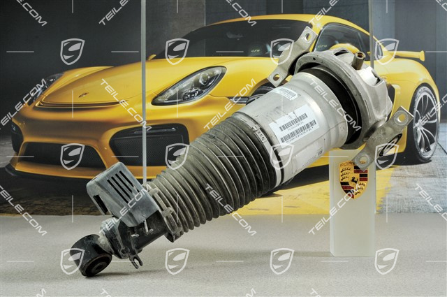 Federbein komplett, Luftfederung, 4.5 V8 / 4.5 Biturbo, R Federbein komplett, Luftfederung, 4.5 V8 / 4.5 Biturbo, R