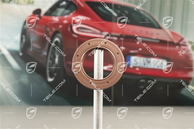 Wellendichtring  für Ausgleichswelle, R