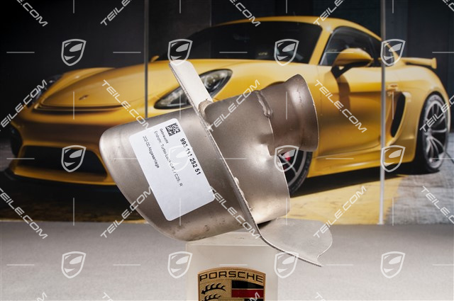 Tail pipe, Turbo-Look C4S / C2S, R
