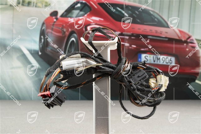 Wiring harness, rear door, L=R