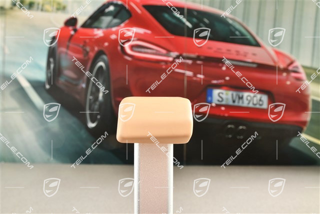 Türverkleidung Zuziehgriff, Abdeckblende, Hinten, Luxorbeige, L