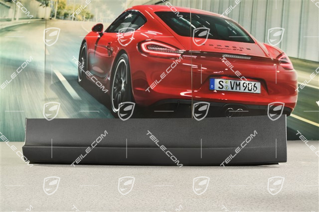 Strip, rear door, Black matt, L