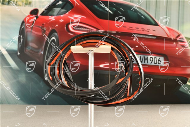 Gasket / seal for rear tinted window, lower