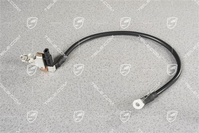 Masskabel / Massleitung, Baterie, inkl. Sensor