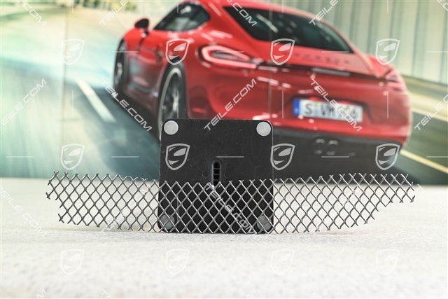 GT3 RS, Gitter, Luftauslassrahmen, L
