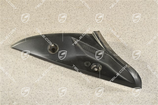 Tail light trim, L