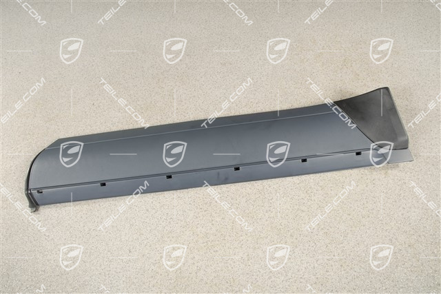 Strip, door rear, R