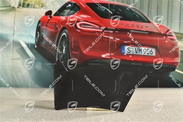 Rear light cover, outer, R