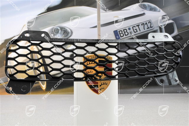 Intake grille, L Intake grille, L