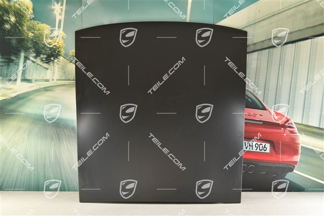 Roof outer panel