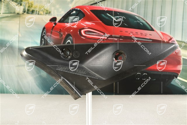 Tail light trim, L