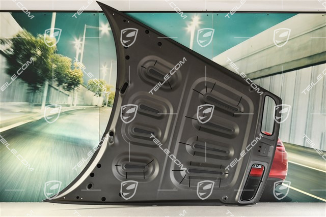 GT3 / Dakar / S/T Lid front, Carbon