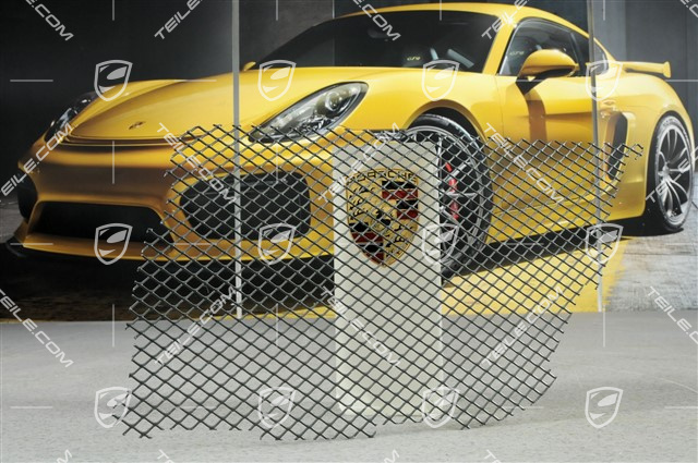 Ventilation grille, lateral, L Ventilation grille, lateral, L