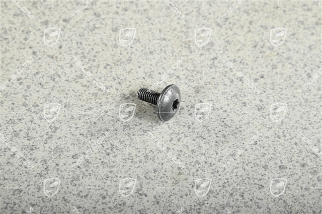 Lens head screw M6 x 16, GT2 RS Lens head screw M6 x 16, GT2 RS