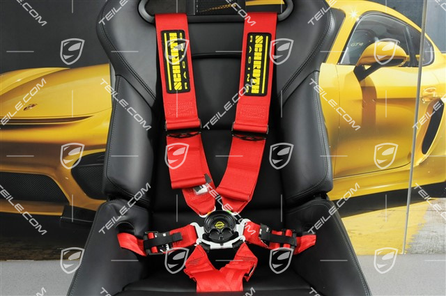 Schroth Profi 3x2 - 6-Pkt. Fahrzeugspezifischer Gurt