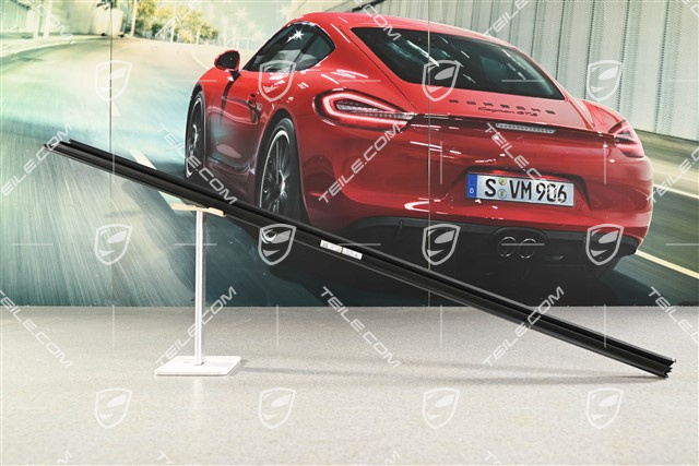 Rear door moulding, Black matte, L