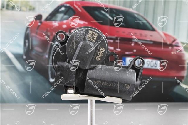 Stellmotor für Abgasklappe