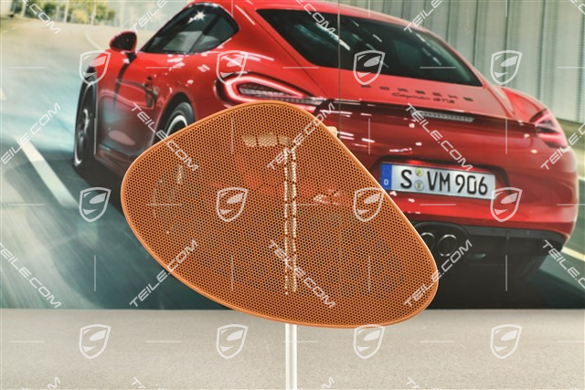 Lautsprecherblende, Seitenwandverkleidung, Braun/Natural, R