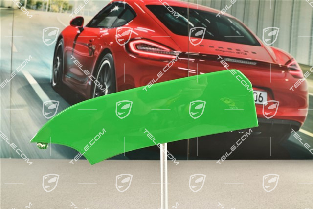 Disc / cover for front bumper retaining frame, centre, ACC,  L