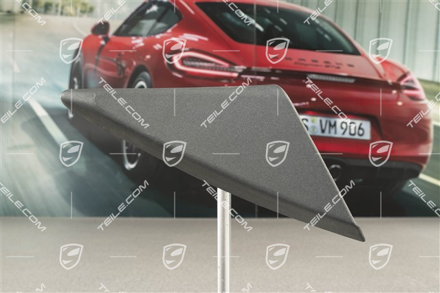 Verkleidung, Aussenspiegel, Granitgrau, R